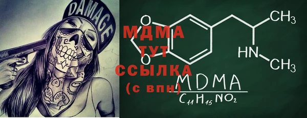 индика Беломорск