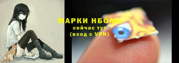 индика Беломорск