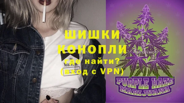 гашик Балахна