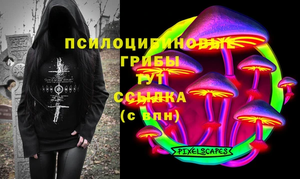 ПСИЛОЦИБИНОВЫЕ ГРИБЫ Белоозёрский