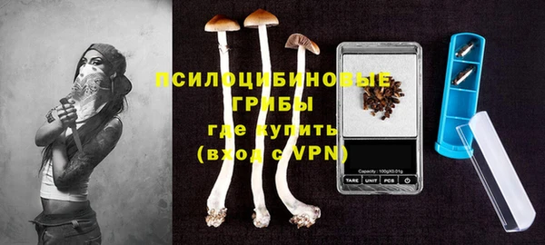 индика Беломорск