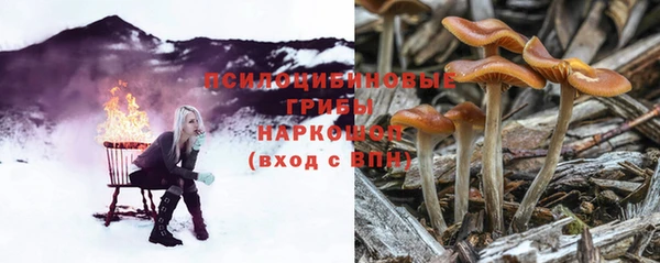экстази Белокуриха